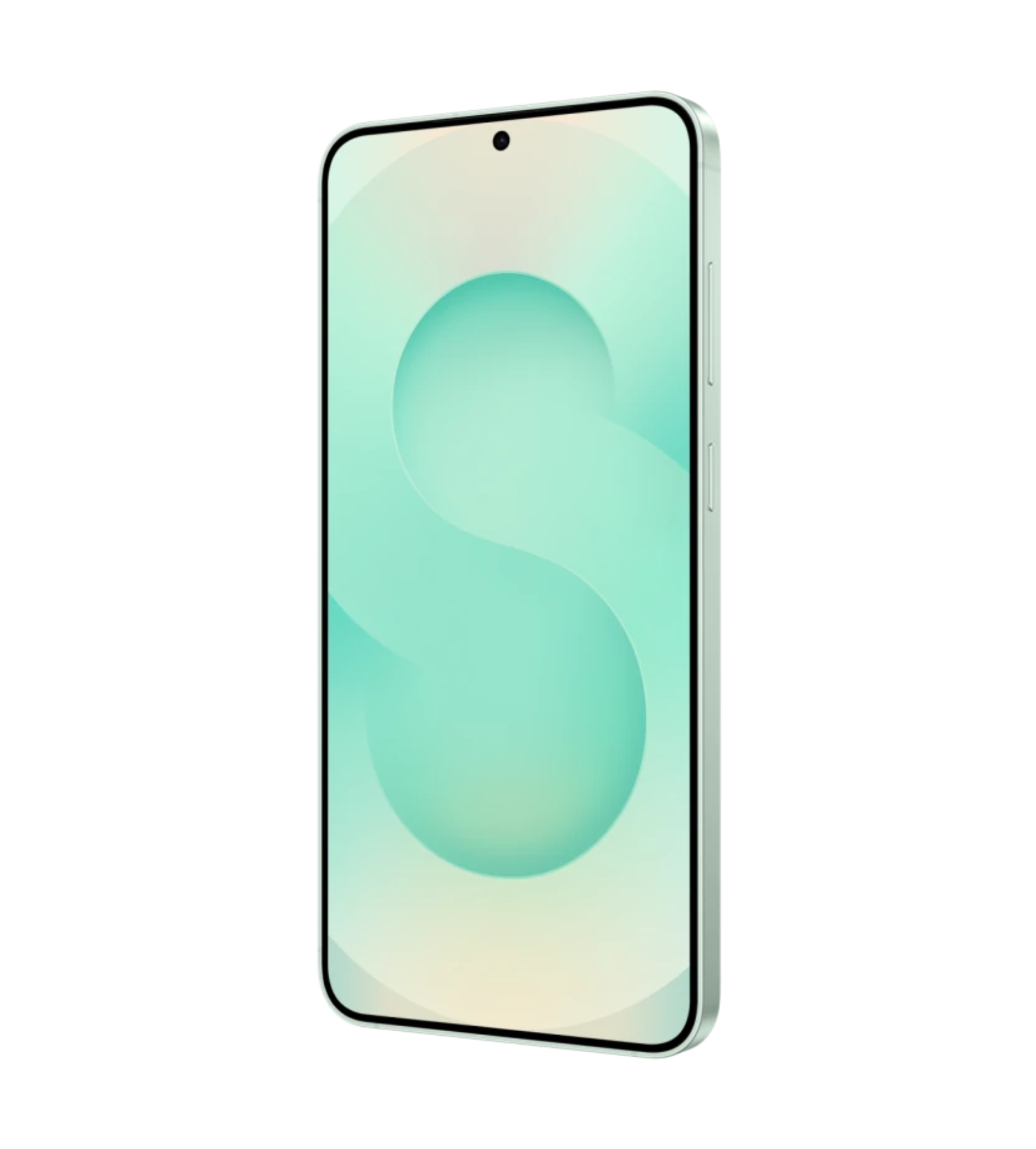 Смартфон Samsung Galaxy S25+ 12/256Gb Mint