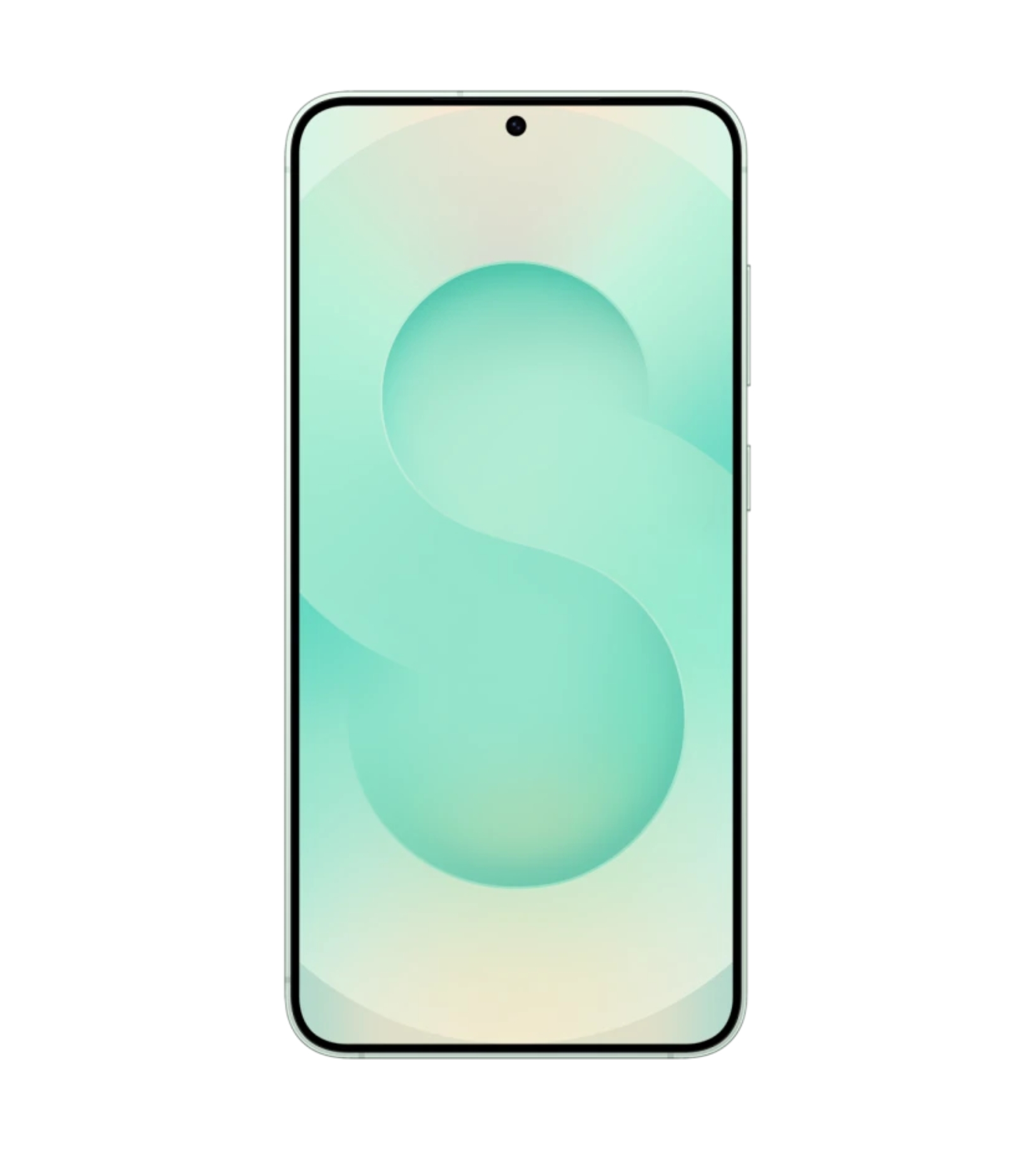 Смартфон Samsung Galaxy S25+ 12/256Gb Mint